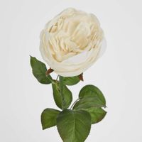Real Touch Cabbage Rose 67cm White