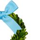 PRE-ORDER Preserved Boxwood Mini Wreath with Blue Bow
