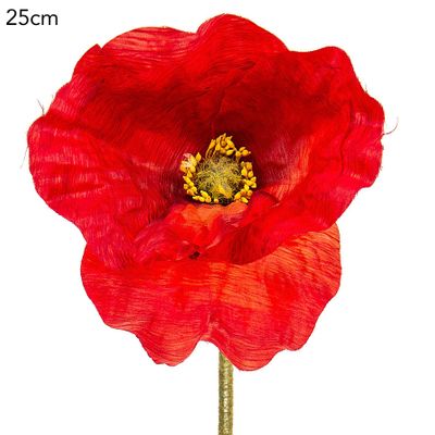 Giant Poppy Single Stem 60cm Red