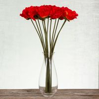 Giant Poppy Single Stem 60cm Red