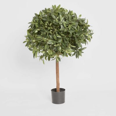 Laurel Ball Tree 1.1m