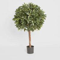 Laurel Ball Tree 1.1m