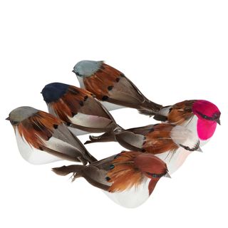 Woodland Puffer Birds - Boxed Set of 6  Multicolour