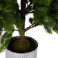 Marmont Tin Potted Pine Tree Large