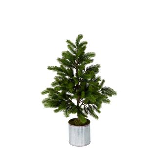 Marmont Tin Potted Pine Tree Small