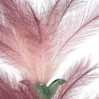 Flista Feather Spray Ombre Pink