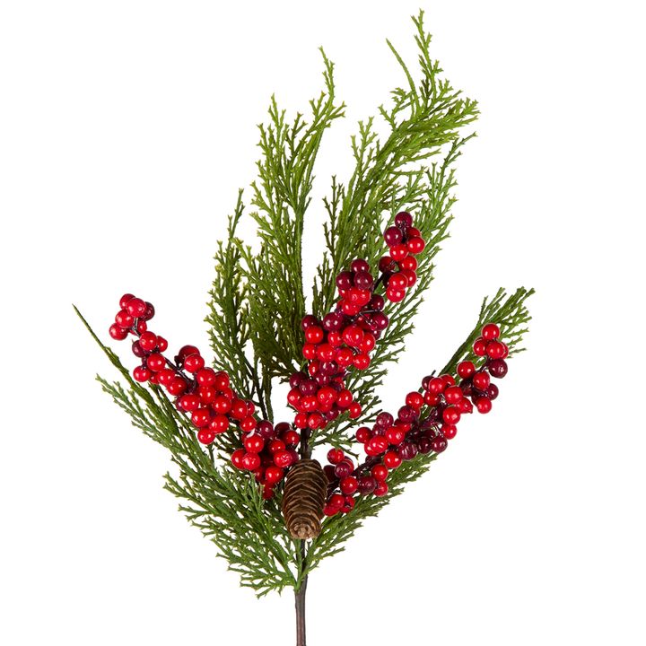 Red Berry and Pine Stem