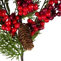 Red Berry and Pine Stem