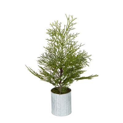 Potted Pine Tree in Tin Small