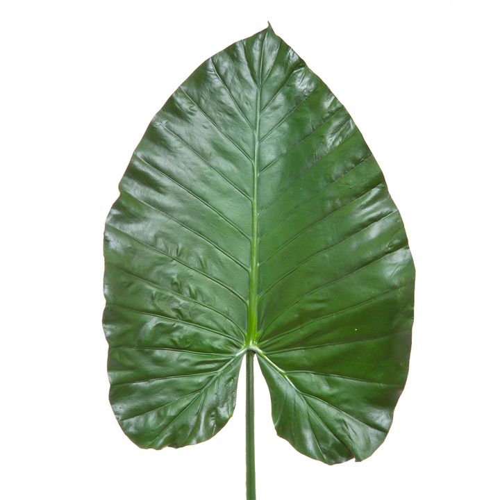 Heart Leaf 1.1m Green