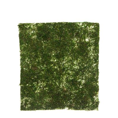 Moss Mat 45x40cm