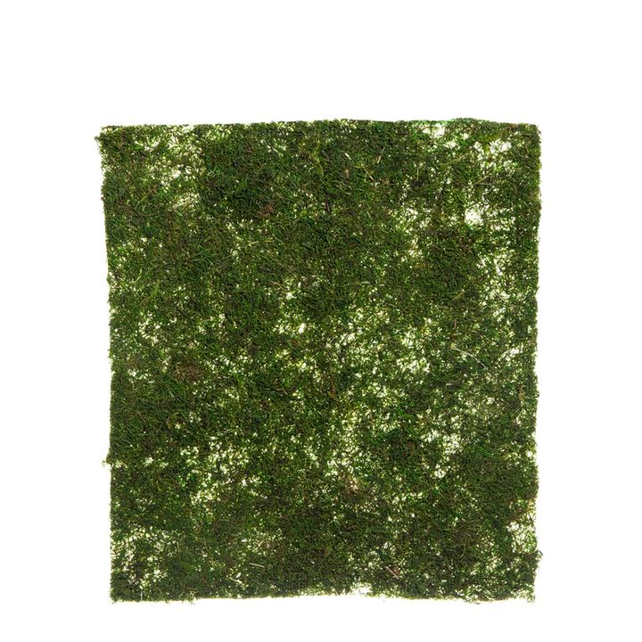 Moss Mat 45x40cm