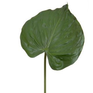 Alocasia Leaf 90cm Green