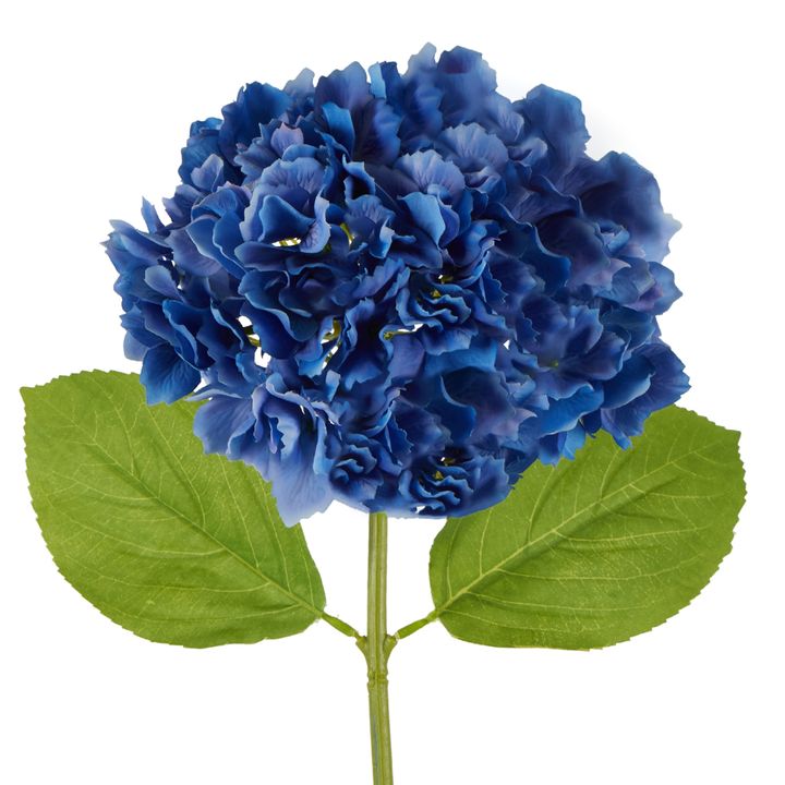 Hydrangea Stem Soft Touch 50cm Electric Blue