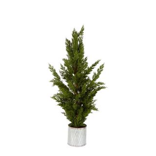 Cypress Tree In Metal Pot Small