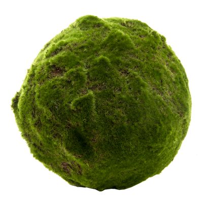 Moss Ball 33cm