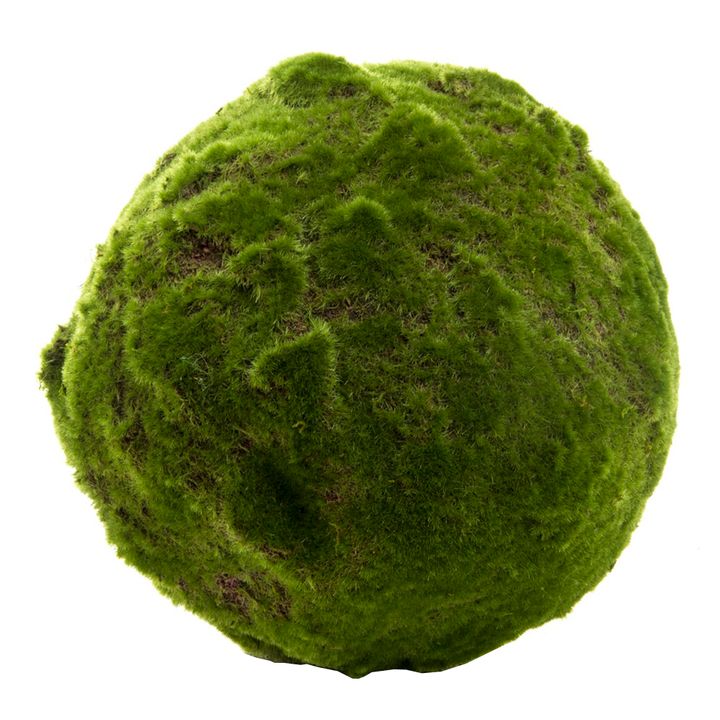 Moss Ball 33cm