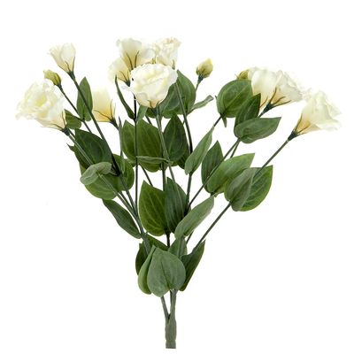 Lisianthus Bush 49cm Cream