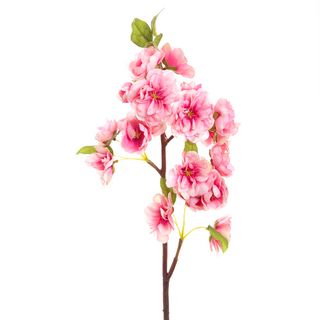 Peach Blossom 57cm Pink