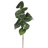 Anthurium Leaf Spray