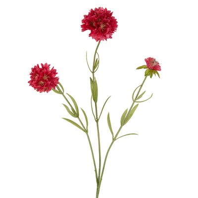 Scabiosa Stem 60cm Dark Pink