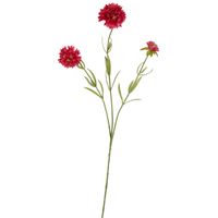 Scabiosa Stem 60cm Dark Pink