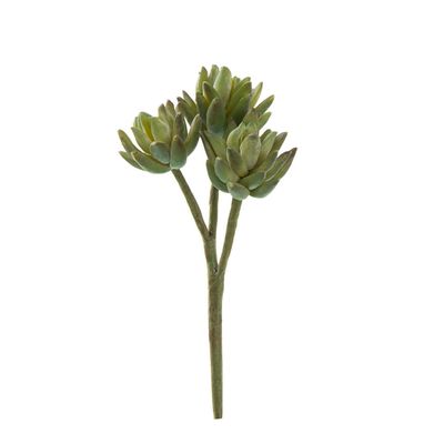 Agave Stem 20cm Green