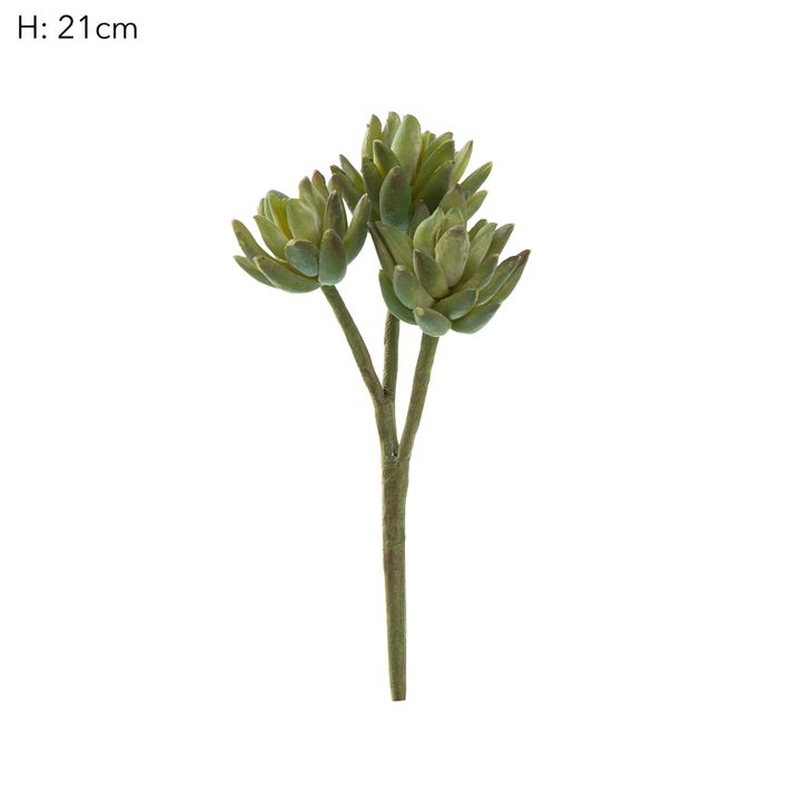 Agave Stem 20cm Green