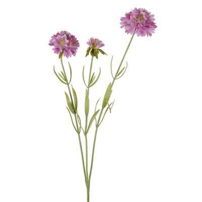 Scabiosa Stem 60cm Lavender