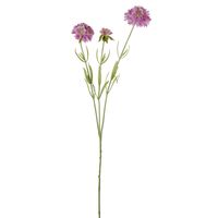 Scabiosa Stem 60cm Lavender