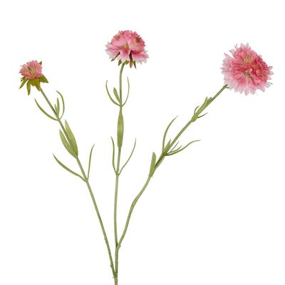 Scabiosa Stem 60cm Pink