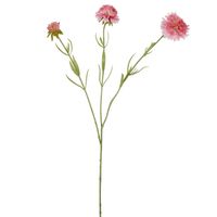 Scabiosa Stem 60cm Pink