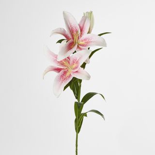 Lily Real Touch 90cm Pink