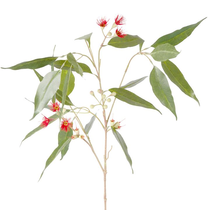 Eucalyptus Flower Spray 92cm Red & Green