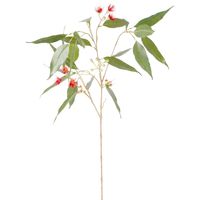 Eucalyptus Flower Spray 92cm Red & Green