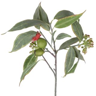 Eucalyptus Flower Spray with 15 Leaves Red