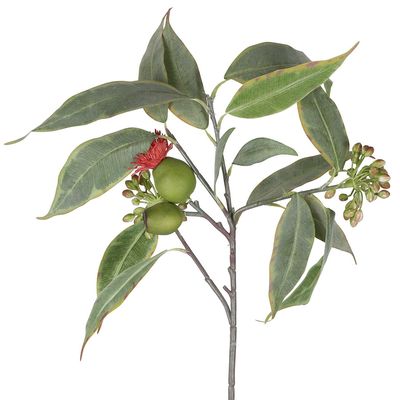 Eucalyptus Flower Spray with 15 Leaves Red