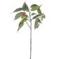 Eucalyptus Flower Spray with 15 Leaves Red