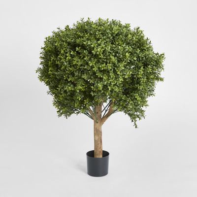 Boxwood Ball Tree 85cm