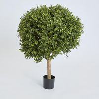 Boxwood Ball Tree 85cm