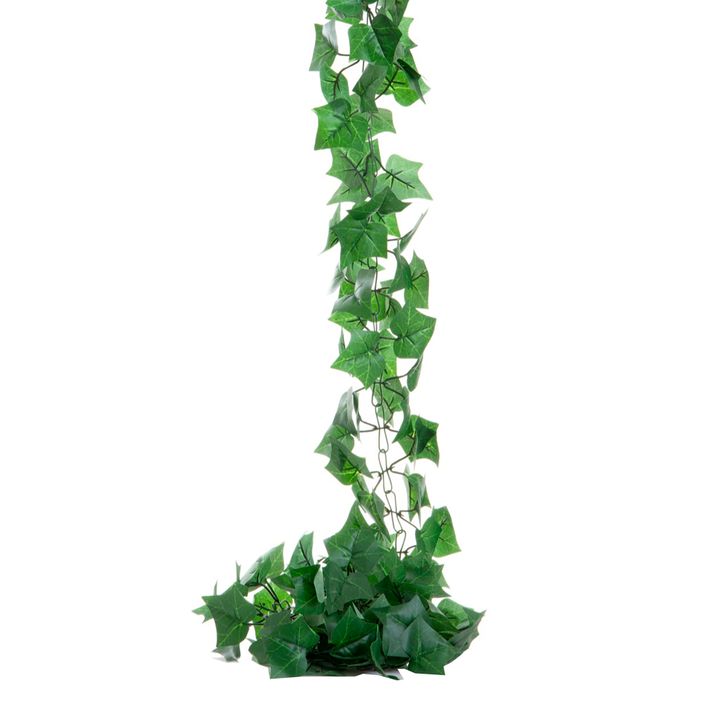 Ivy Garland on Roll Green 30m