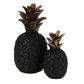 Peson Pineapple Black Large