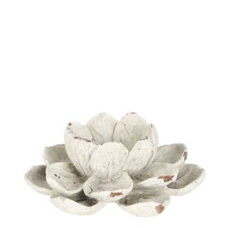 PRE-ORDER Nelum Lotus Flower Small