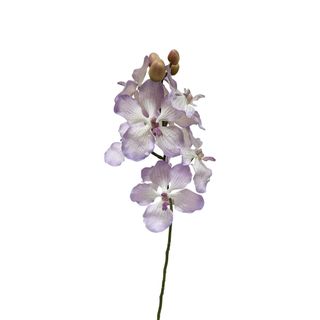 PRE-ORDER Dendrobium Orchid Spray Lilac