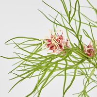 Leaf Grevillea 92cm Pink