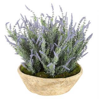 Rashi Lavender Purple Arrangement