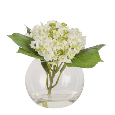 Stacy White Hydrangea Arrangement