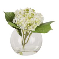 Stacy White Hydrangea Arrangement