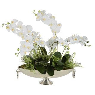 Dame White Orchid Arrangement
