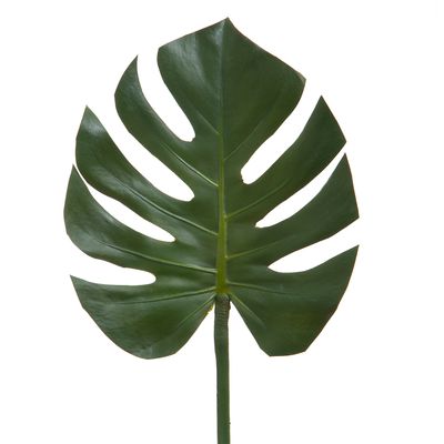 Split-Leaf Philodendron Stem 75cm Green